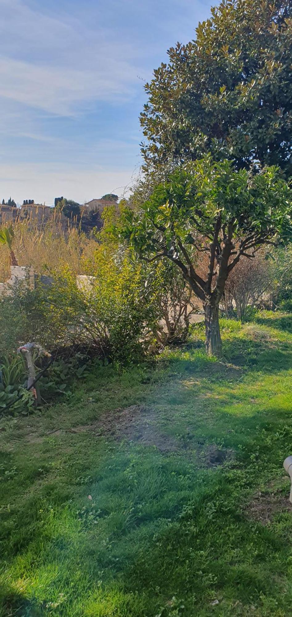 Plein Sud Tourrettes-sur-Loup